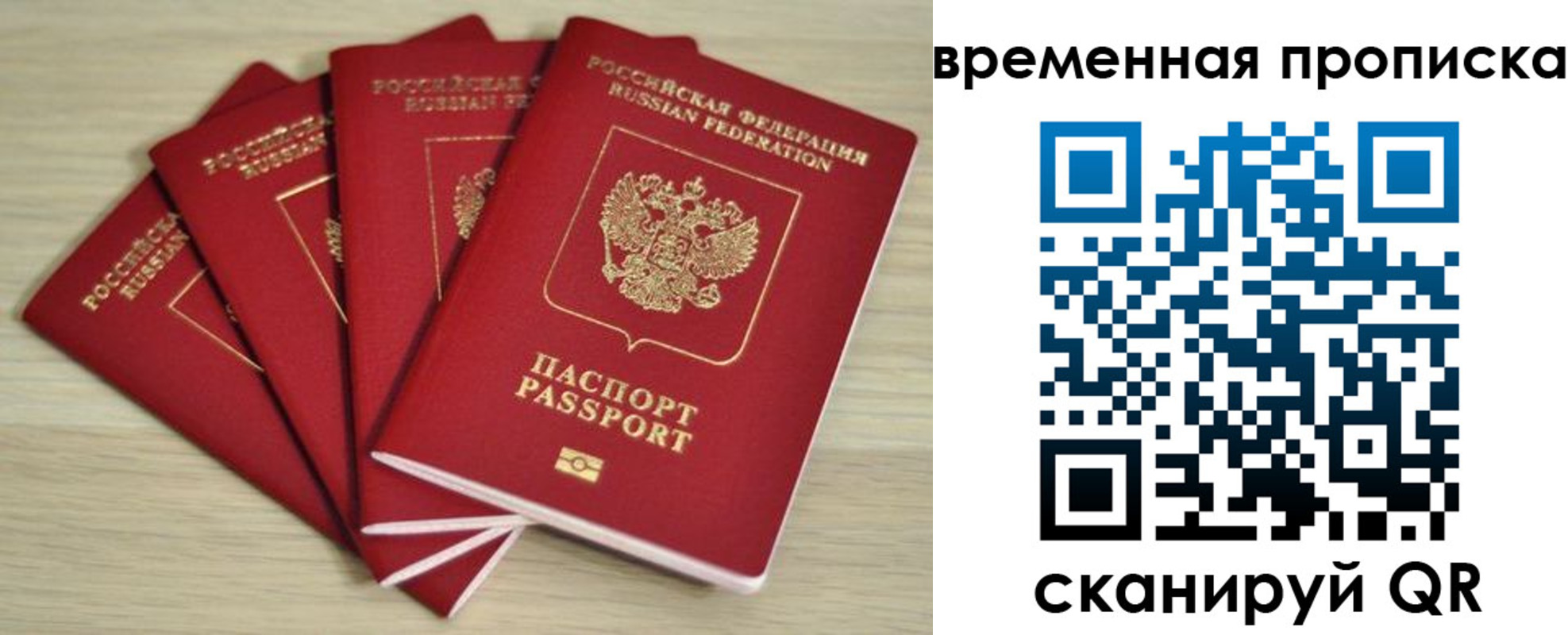 прописка для школы в Арамили